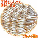 送料無料 訳あり ししゃも 1kg 業務用 子持ちシシャモ 樺太シシャモ カラフトシシャモ カペリン 柳葉魚 ノルウェー・…