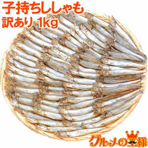  󂠂  1kg Ɩp qVV VV JtgVV Jy t mEF[EJi_Y H tC g A 킯 PA 