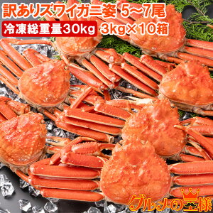 󂠂 YCKj p v30kgO 50`70 3kg×10 Ⓚł {YCKj {CⓀ YCI 킢  Jj I 킢I LFs ɓ ĂKj  Pi N 