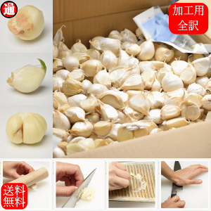 にんにく 10kg」の人気商品一覧 | 安い商品を通販サイトから探す