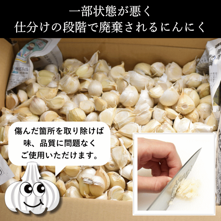 業務用】にんにく加工用【10kg】｜岡崎商店