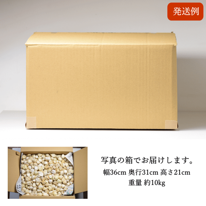 楽天市場】 にんにく (産直) 約10kg にんにく 加工用 全訳あり
