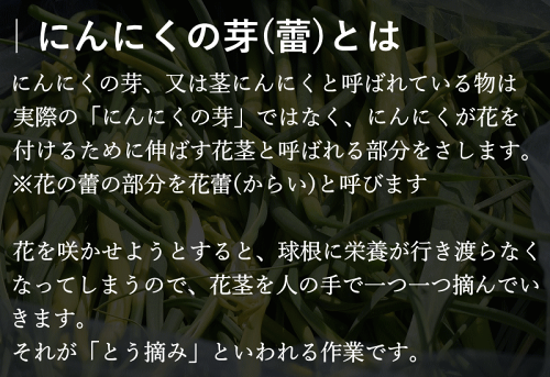 楽天市場 国産 にんにくの芽 300g 3 青森県産 ニンニクの芽 生産者直送 津軽 にんにくの芽 冷凍 青森県産 にんにく にんにく 国産 青森 にんにく ニンニク 青森県産 にんにく 青森 国産にんにく 業務用 グルメ通り