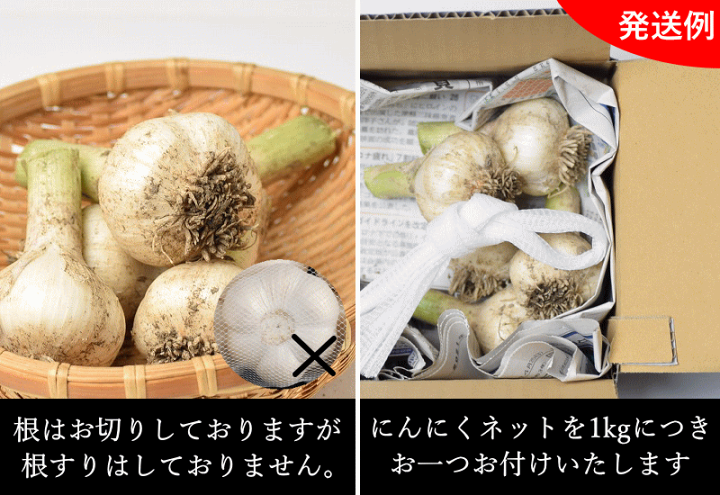 楽天市場】 新物予約 早割り 生にんにく M玉サイズ 1キロ 青森