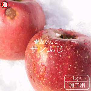 Hp  󂠂 5kg  uTӂ ̂ v  Hp X Tӂ  RXpd  󂠂 X  5kg  SW[X َq X