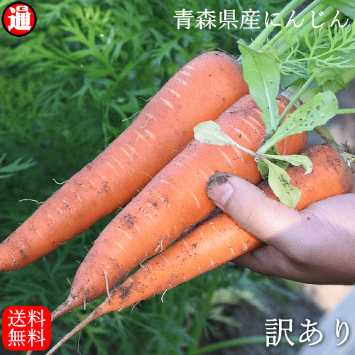 6/2 到着した人参について 浜名農園 / 時なし三寸人参