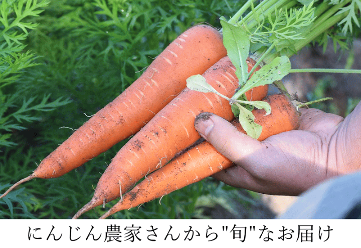 人参さん専用 楽天市場】にんじん 訳あり 青森県産 5kg 送料無料 クール便 人参