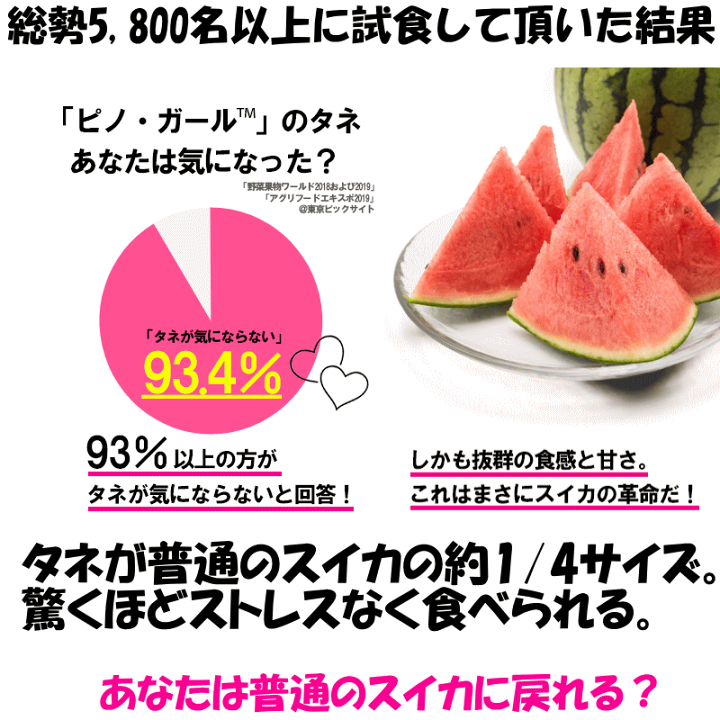 ３・沖縄県・Kanazo・ピノガール 楽天市場】新物予約 ピノガール 2玉 すいか 送料無料 ( 小玉 1.5～2.0