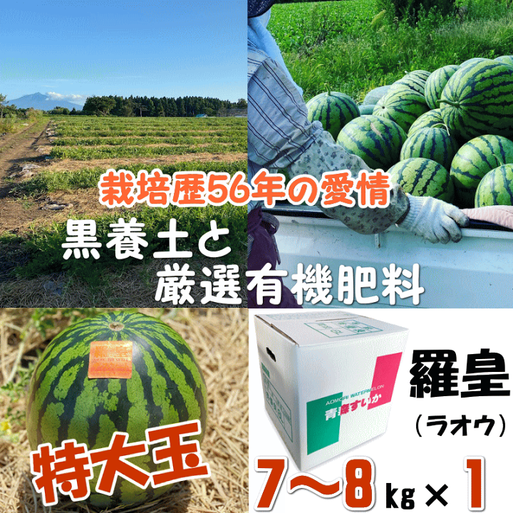 ３５００円～シャリ度NO1の農林水産大臣賞受賞・スイカの王様「羅皇」 シャリ度NO1の農林水産大臣賞受賞・スイカの王様「羅皇」