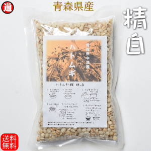 ngM   200g×4 XY [֐͂Ƃނ G ͂Ɣ G ngM ͂Ƃނ Y RCNZmh ͂Ƃނ Y͂Ƃނ
