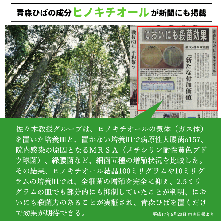 楽天市場】青森ヒバ ひば 集成材 フリー板 25×500×2100mm ヒバ材