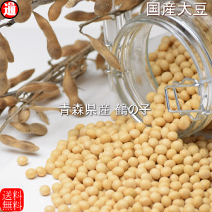 Y 哤 ߂̎q XY 嗱哤 800g  ̎q  X |哤 [   嗱 哤 Y ڑ哤 哤 蓤p (͓܂p 蓤ł͂܂) 