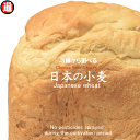 送料無料 強力粉 中力粉 薄力粉 3種から選べて＋ふすま粉付き 国産 小麦粉 400g 栽培期間中 農薬不散布 1000円ポッキリ 送料無料 グルメ食品 産直 青森県産 ゆきちから ネバリゴシ キタカミコムギ 単一品種 日本の小麦 国産 小麦粉 強力粉