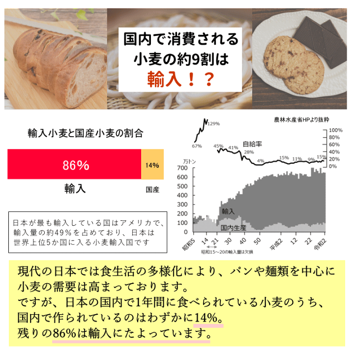 楽天市場】中力粉 国産 小麦粉 10kg 2kg×5 栽培期間中 農薬不