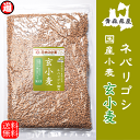 ネバ玄粒 小麦 5kg 送料無料 栽培期間中 農薬不散布 国産 玄小麦 ネバリゴシ 青森県産 業務用 国産玄小麦うどんを打とう パン や 製麺作りに適した 中力系 国産小麦 中力粉小麦玄麦 小麦粉 国産 全粒粉 未精白 胚乳 小麦胚芽