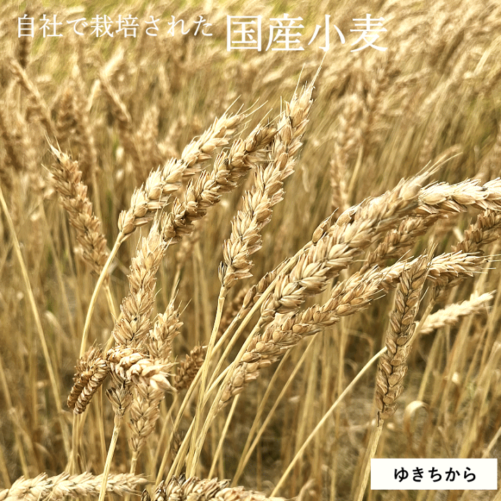 楽天市場】業務用 強力粉 国産 小麦粉 25kg 栽培期間中 農薬不 楽天市場】業務用 強力粉 国産 小麦粉 25kg 栽培期間中 農薬不