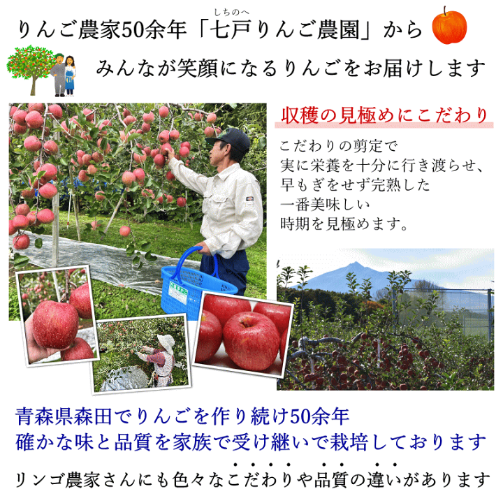 楽天市場】青森りんご家庭用 りんご 訳あり 10kg 送料無料 青森 りんご