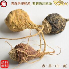 マカ 妊活 (大)30g 栽培期間中農薬不使用 青森県産 送料無料 薬膳酒用乾燥マカ 妊活 アルギニン リパーゼ 薬膳食材 薬膳 国産マカ 国産 男のパワー スーパーフードマカ 津軽マカ つがるマカ 青森県産 母の日 父の日 お中元 お歳暮 ギフト アグリ