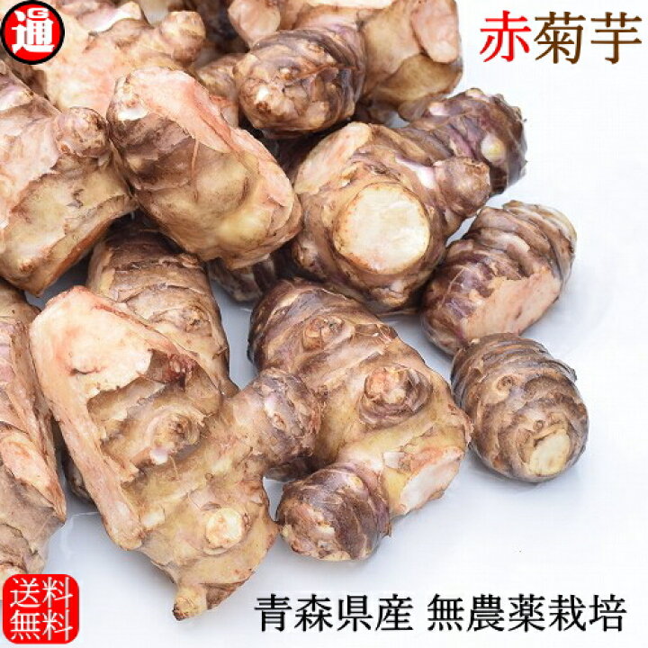 楽天市場】栽培期間中農薬不使用 赤 菊芋 5kg 送料無料 青森県産業務用  