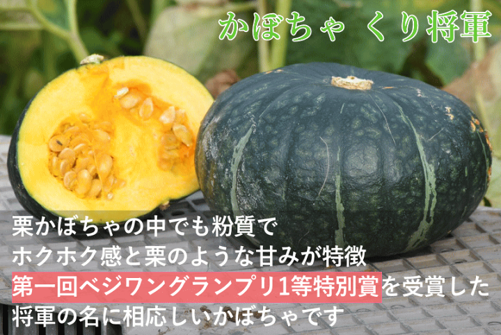 楽天市場】栗将軍 かぼちゃ 送料無料 訳あり 約5kg 2〜6玉 青森県産栗
