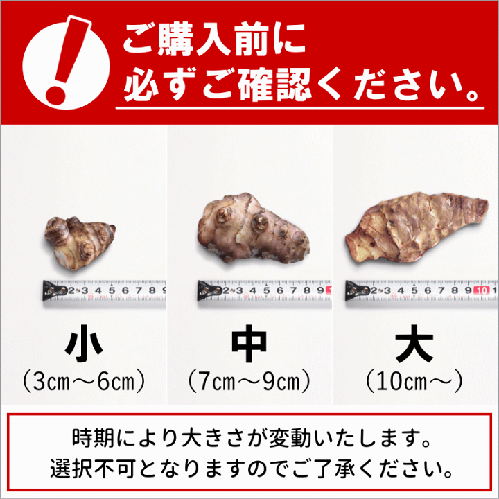 楽天市場】WAKASUGI厳選 菊芋 生菊芋 きくいも 10キロ イヌリン