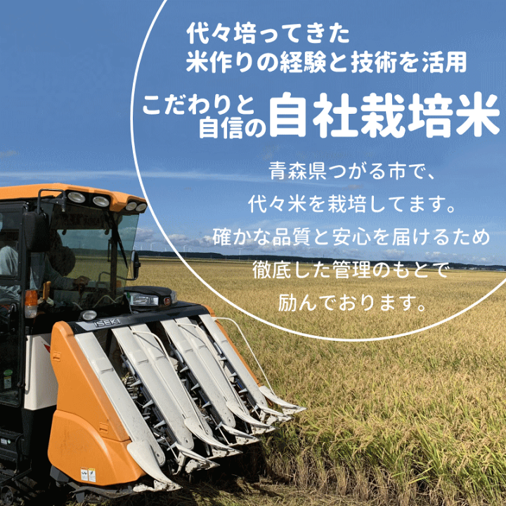 楽天市場】米粉 パン用 900g あおもりっこ 100％ 青森県産 無添加 米粉