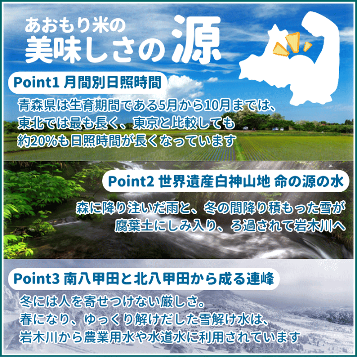 楽天市場】米粉 パン用 900g あおもりっこ 100％ 青森県産 無添加 米粉