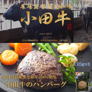 Yјa100gp@c̃no[O120g×6@јa@c@Mtg@no[O@