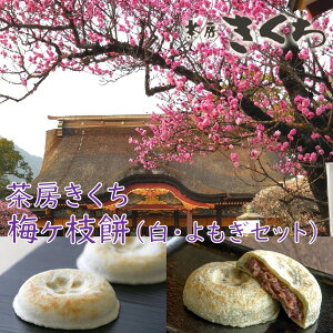 ɕ{V{@[@~}10E~}10Zbg@ɕ{V{@~}݁@[@̔@Mtg