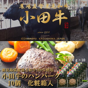 Yјa100gp@c̃no[O120g×10@јa@c@Mtg@no[O@