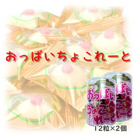 ヒルゼンミルキー　おっぱいちょこれーと12粒x2　チョコレート　面白チョコ　バレンタイン　ホワイトデー　プレゼント