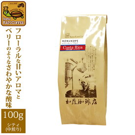 コスタリカHONUKOPEスペシャルティ珈琲豆(100g)/グルメコーヒー豆専門加藤珈琲店/珈琲豆