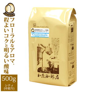 [500g]O@e}EKiQO[h蓤iKe}SHBj/OR[q[X/蓤