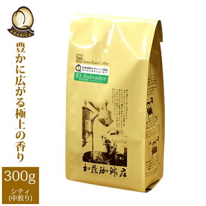 GTohEKiQO[h蓤i300gj/OR[q[X/蓤
