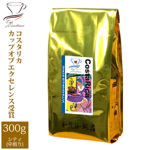 RX^JJbvIuGNZXi300gj/OR[q[X/蓤