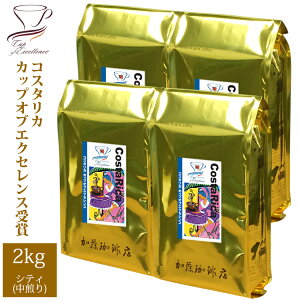 yƖpK2kgzRX^JJbvIuGNZX(CRX×4)/OR[q[X/蓤