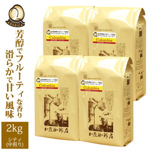 yƖpK2kgzRrAEKiQO[h蓤(QR×4)/OR[q[X/蓤