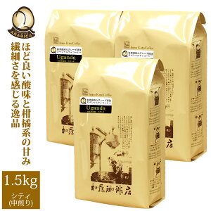 EKiQO[hEK_1.5kg蕟(QEK×3j/蓤