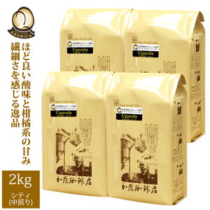 yƖpK2kgzEKiQO[h蓤(QEK×4)/OR[q[X/蓤