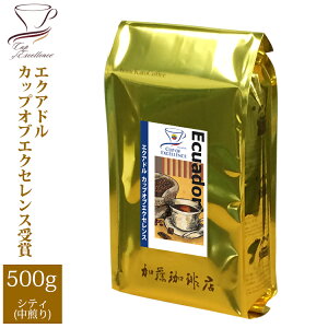 [500g]GNAhJbvIuGNZX/OR[q[X/蓤