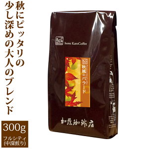 v~AuhyH̃o[hzi300gj/OR[q[X/蓤