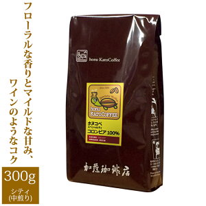 RrAXvEzkRyXyVeBR[q[i300gj/OR[q[X/蓤