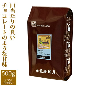 [500g]pvAj[MjAEzkRyXyVeBR[q[/OR[q[X/蓤