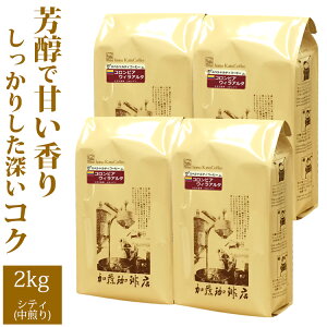 yƖpK2kgzRrAEEBA^(EB×4)/OR[q[X/蓤
