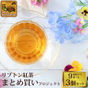 リプトン紅茶　まとめ買いプロジェクト9種類から選べる3個セット