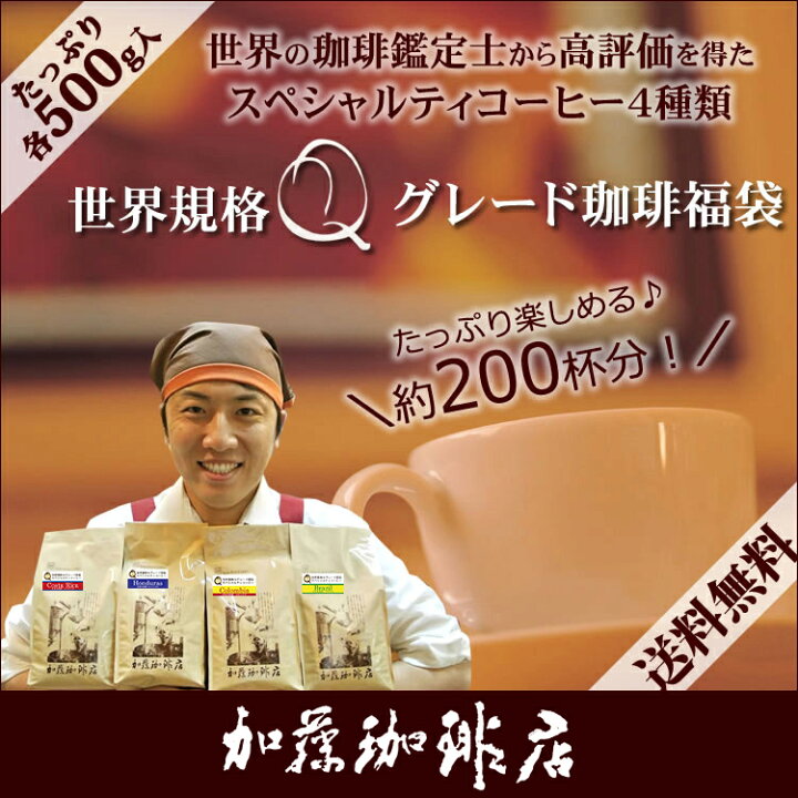 加藤珈琲店　世界規格Qグレード珈琲豆使用♪＊水出しコーヒー＊１5袋(約75杯分)