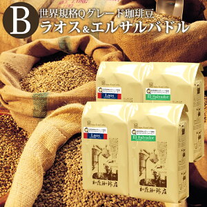 QO[h2gݍ킹ZbgB(QG×2EQI×2)/蓤@@X@