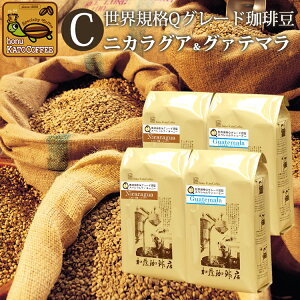 QO[h2gݍ킹ZbgC(QjJ×2EQO@e×2)/蓤