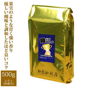[500g]v~AuhyƂuh`a킢̐x`z/OR[q[X/蓤