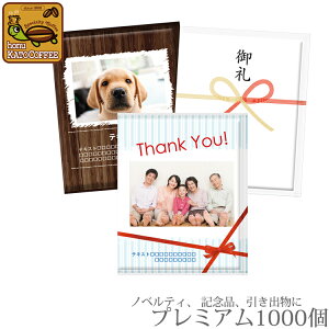 �v�`�M�t�g ������� ������ ������ �I���W�i���h���b�v�R�[�q�[ ��������(�v���~�A���E1000��)